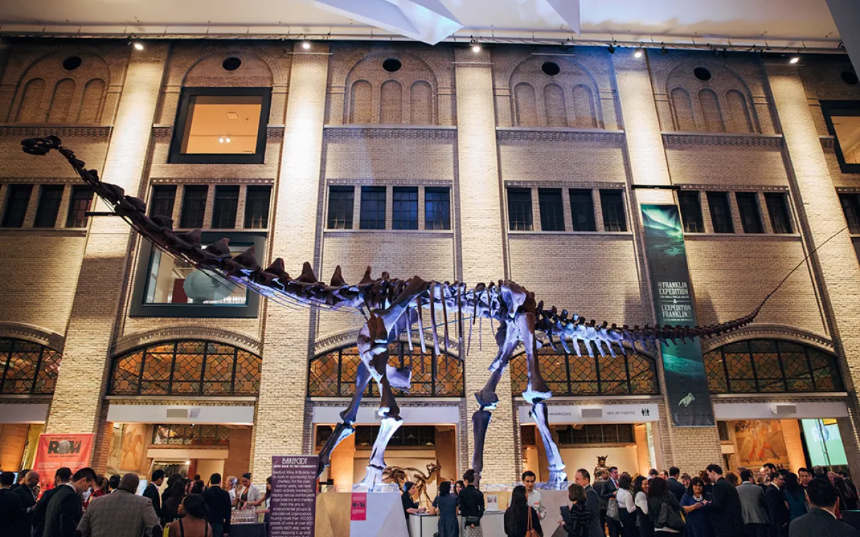 Large dinosaur skeleton displayed in a museum hall with many visitors beneath it.