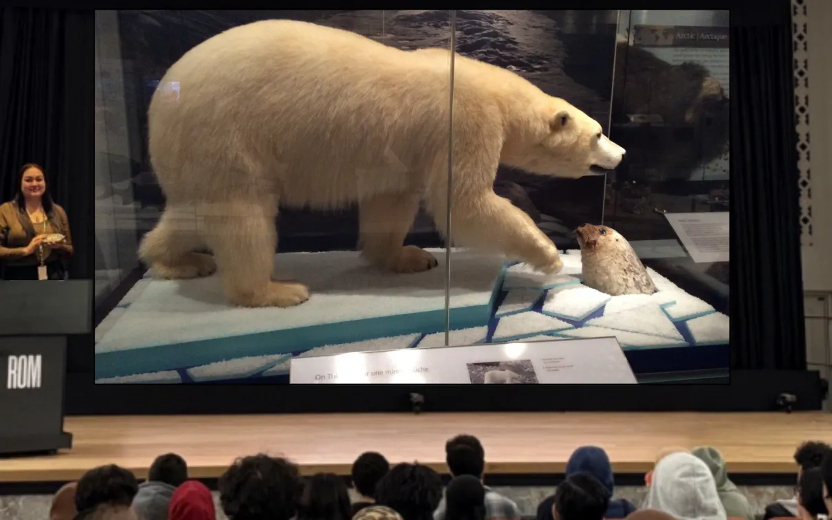 Une femme autochtone souriante se tient sur une scène devant un public, derrière un podium étiqueté ROM. À côté d'elle, un écran affiche l'image d'une vitrine montrant un ours polaire debout sur la glace, à côté d'un trou par lequel un phoque passe la tête.