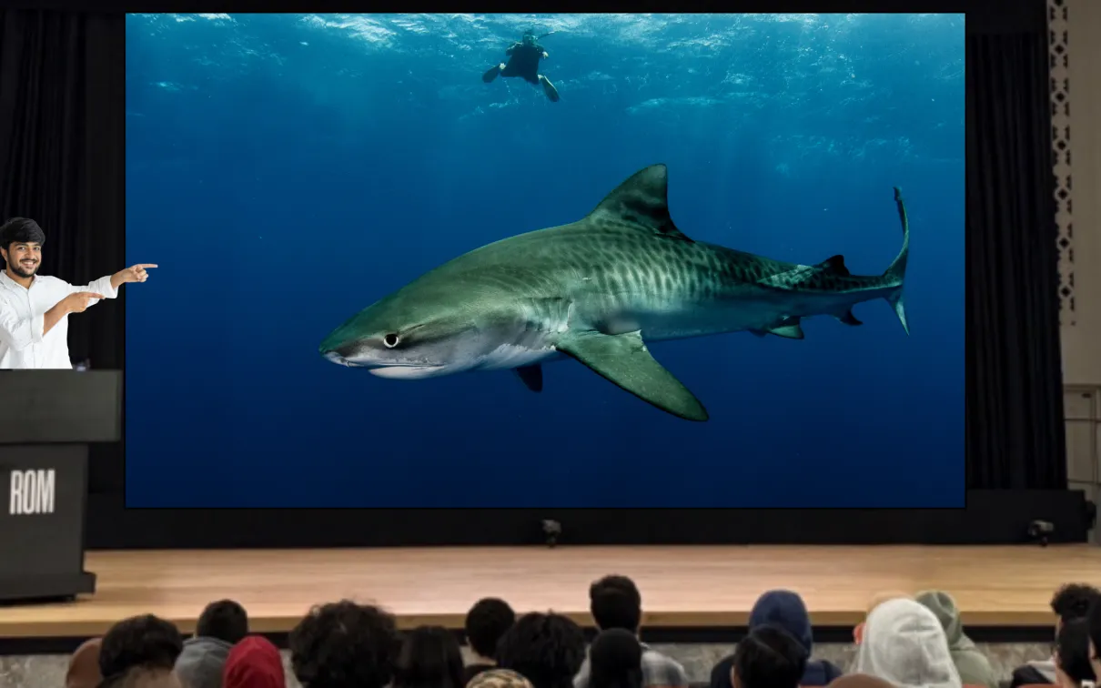 Un homme debout sur la scène, devant un public, pointe du doigt un écran. Sur l'écran, un grand requin nage près de la surface de l'eau. Un plongeur nage en arrière-plan.