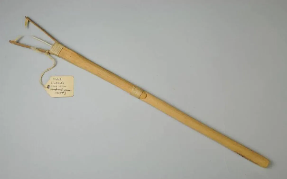 Longue pièce de bois au sommet fourchu présentant un triangle d'épines pointées vers l'intérieur.