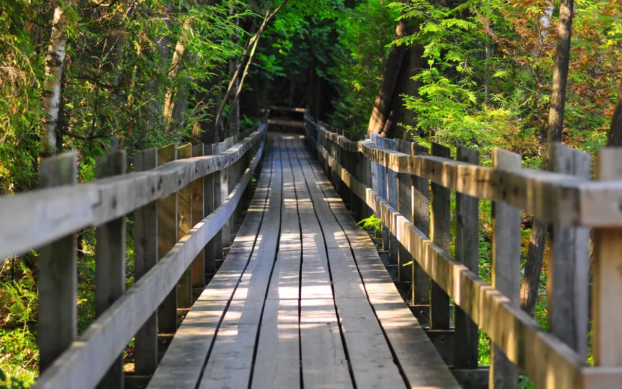 Boardwalk Crawford Lake, Credit: © Alex Meoko, 2011.