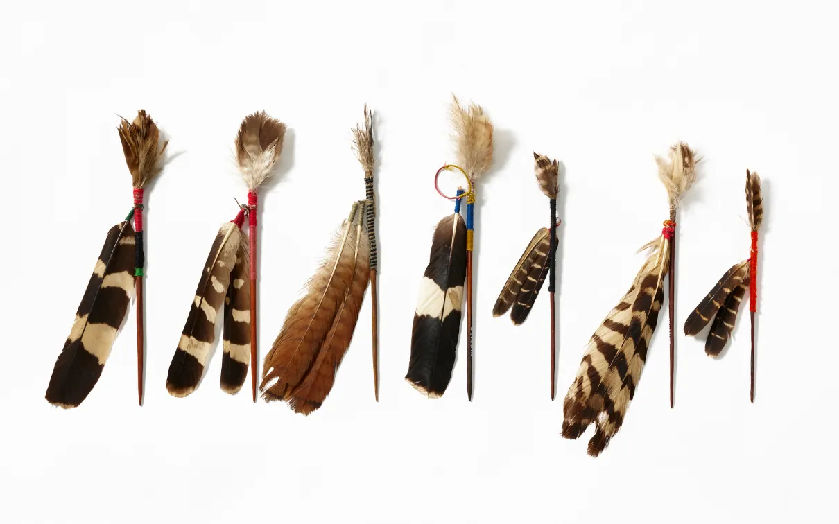Eight feathers bound with colorful thread, arranged in a row on a white background.