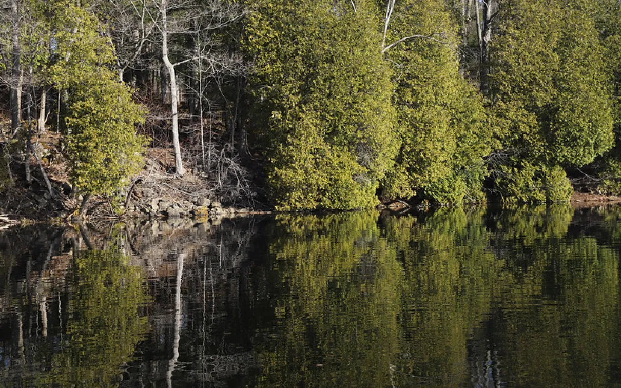 Crawford Lake