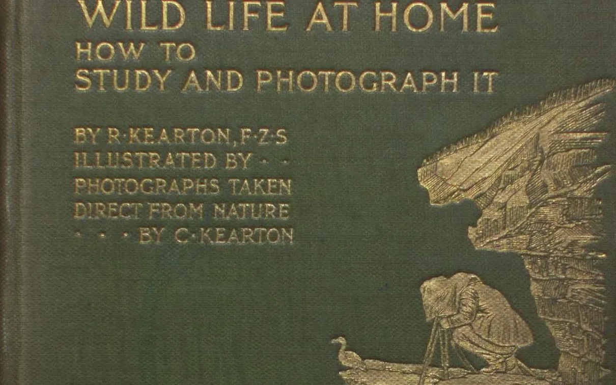 WILD LIFE AT HOME HOW TO STUDY AND PHOTOGRAPH IT BY R. KEARTON, F.Z.S ILLUSTRATED BY PHOTOGRAPHS TAKEN DIRECT FROM NATURE BY C. KEARTON