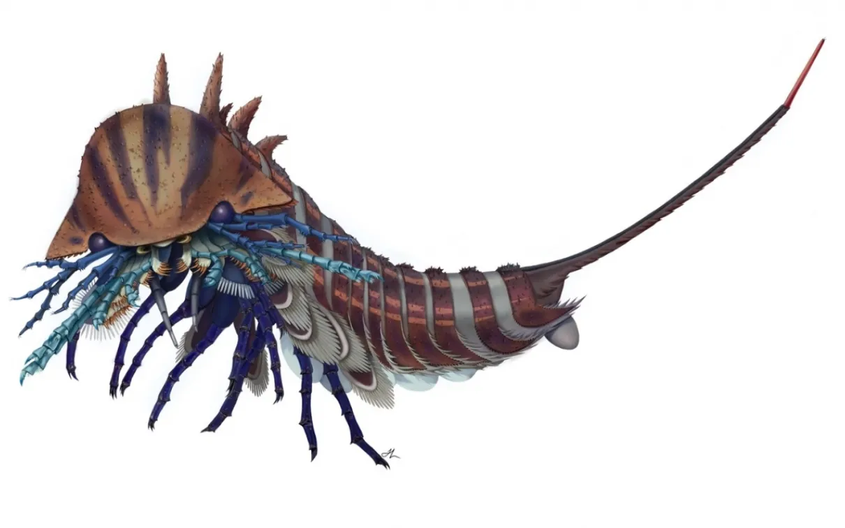 Artistic reconstruction of Habelia optata. Credit: Courtesy of Joanna Liang, © Royal Ontario Museum
