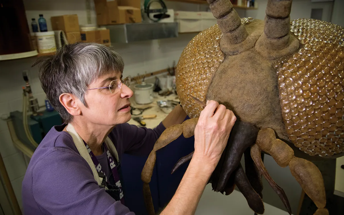 Dans un atelier, une femme aux cheveux gris courts travaille avec soin sur un grand modèle d'insecte brun.