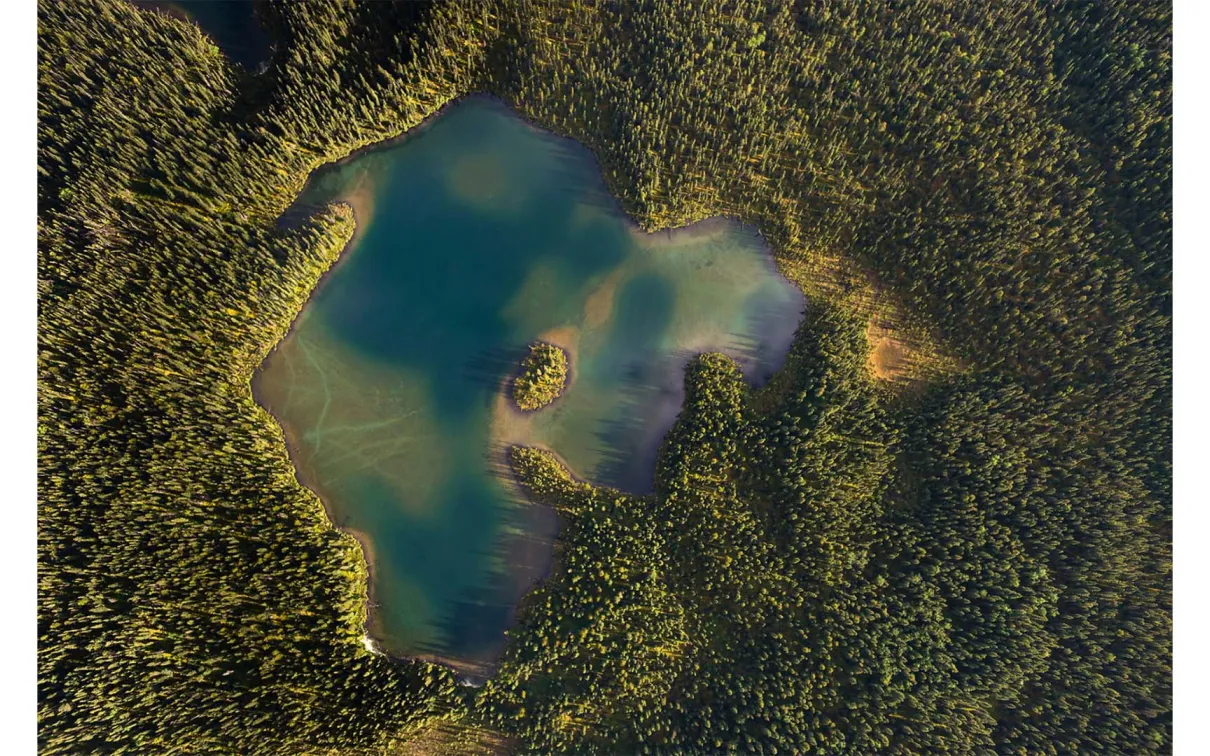 Aerial view of a lake surrounded by dense green forest with an irregular shoreline.