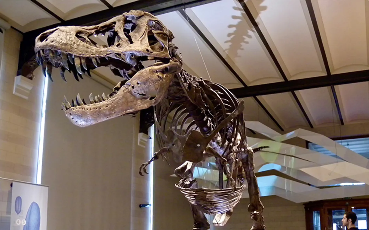 Dinosaure