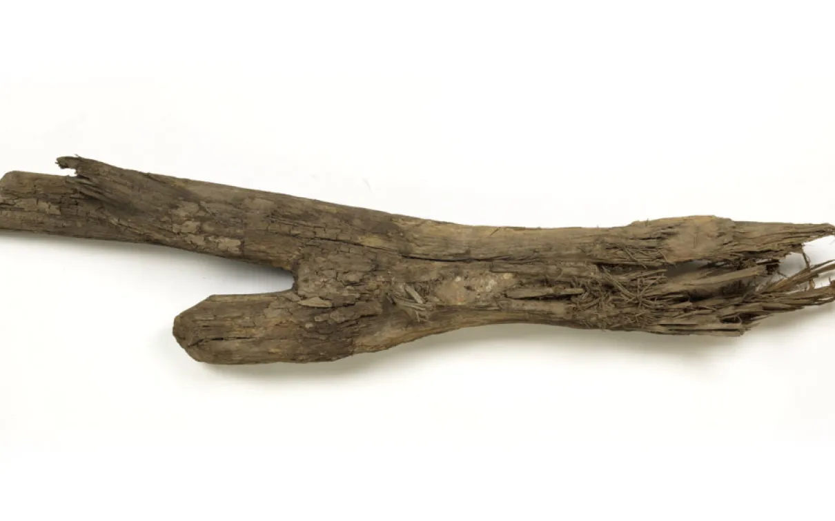 Morceau de bois fourchu.