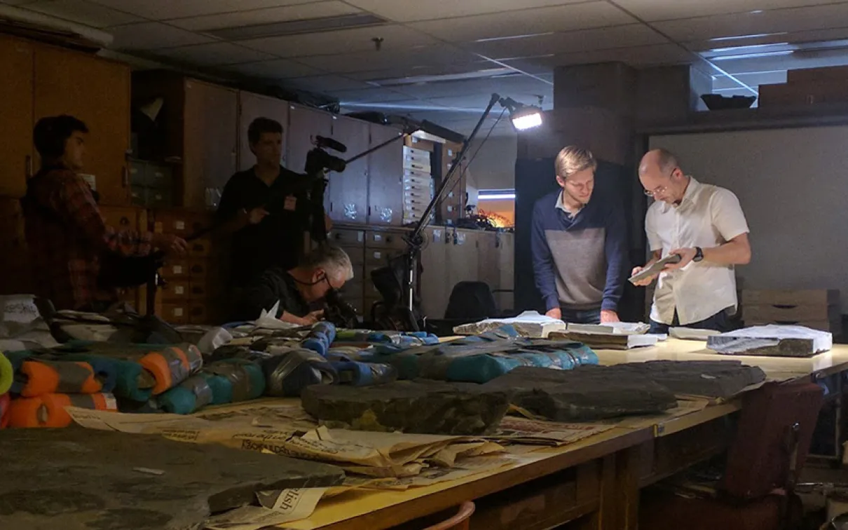 Groupe de personnes regardant un fossile