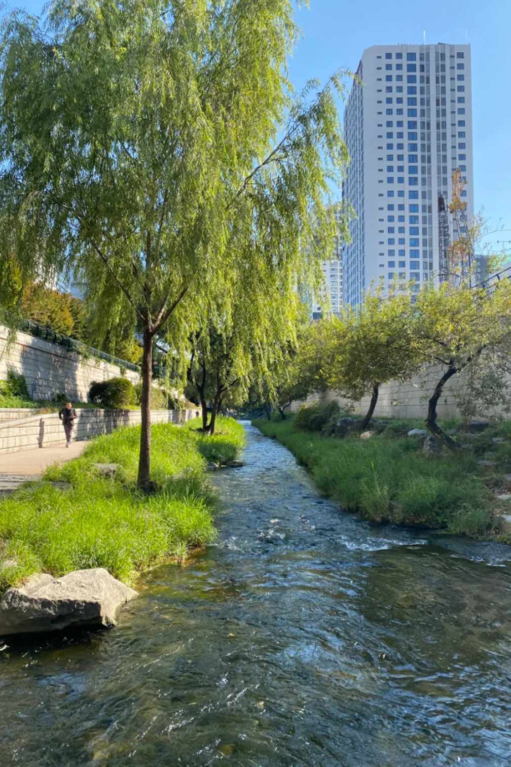 Stream flowing between grassy banks with willow trees and a tall modern building in the background under a blue sky.