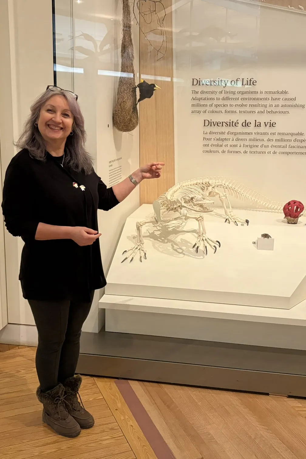 Text on exhibit wall:

Dr. Izzy Ifield
Department of Life Sciences
Royal Ontario Museum and the University of Toronto

Diversity of life
The estimated number of living species on earth ranges from 5-30 million. Only 1.4 million species have been formally described. Many new species are discovered every year through fieldwork, and by studying museum collections.

Exhibit display includes skeletal animal specimens and a skull.