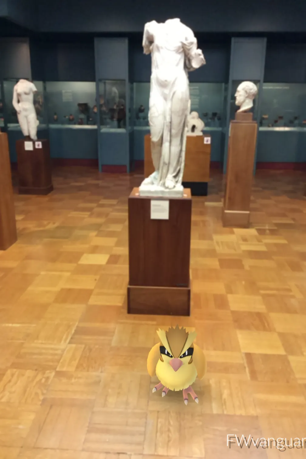 Small animated bird standing on the wooden floor in an art gallery with classical white marble busts and statues.