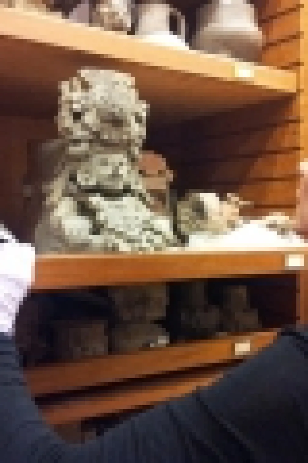 A woman wearing white gloves carefully examines a detailed carved stone artifact on a wooden shelf.