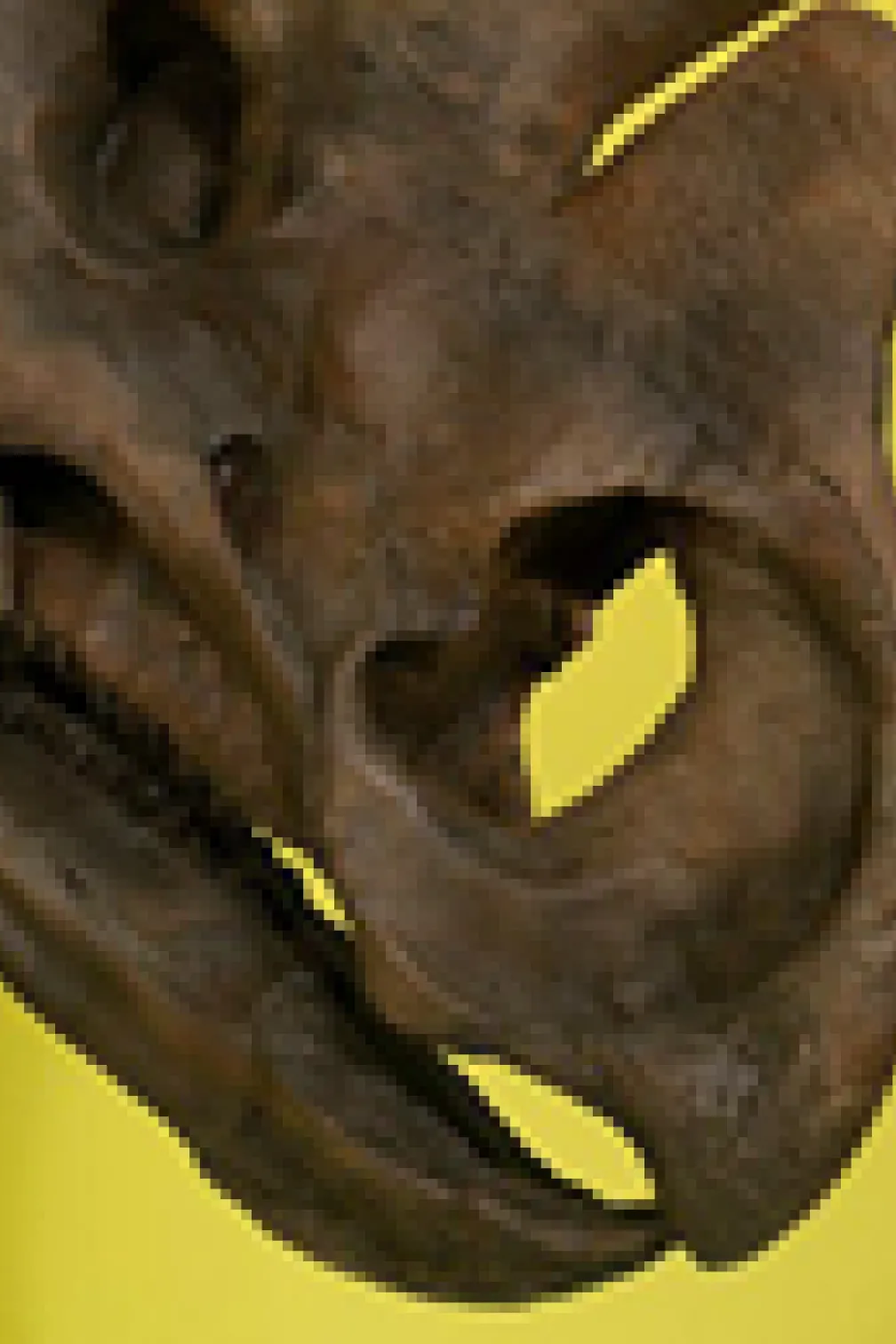 See Wendiceratops on display at the ROM in the New Dino Discovered exhibition.