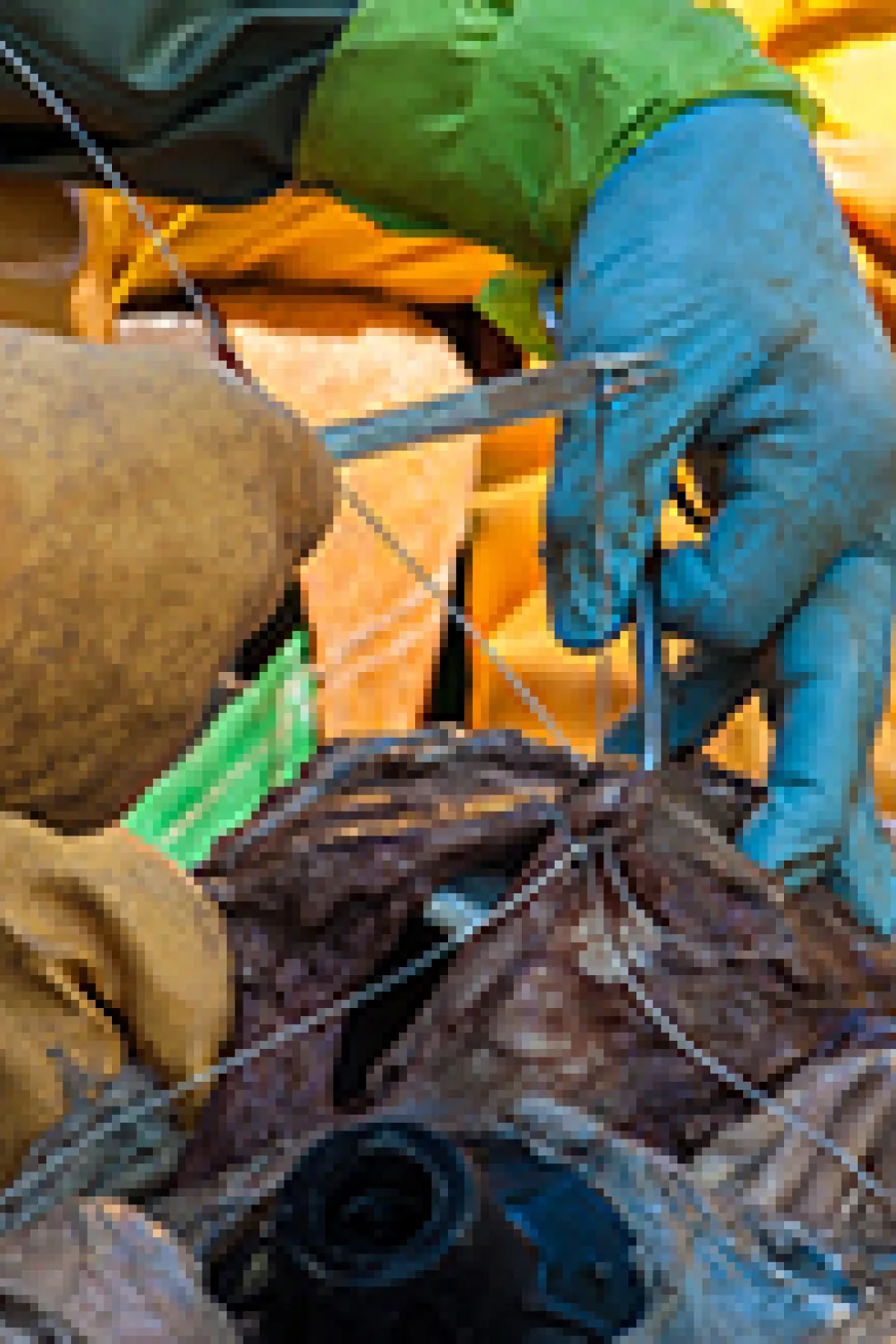 Close-up of blue whale ridges
