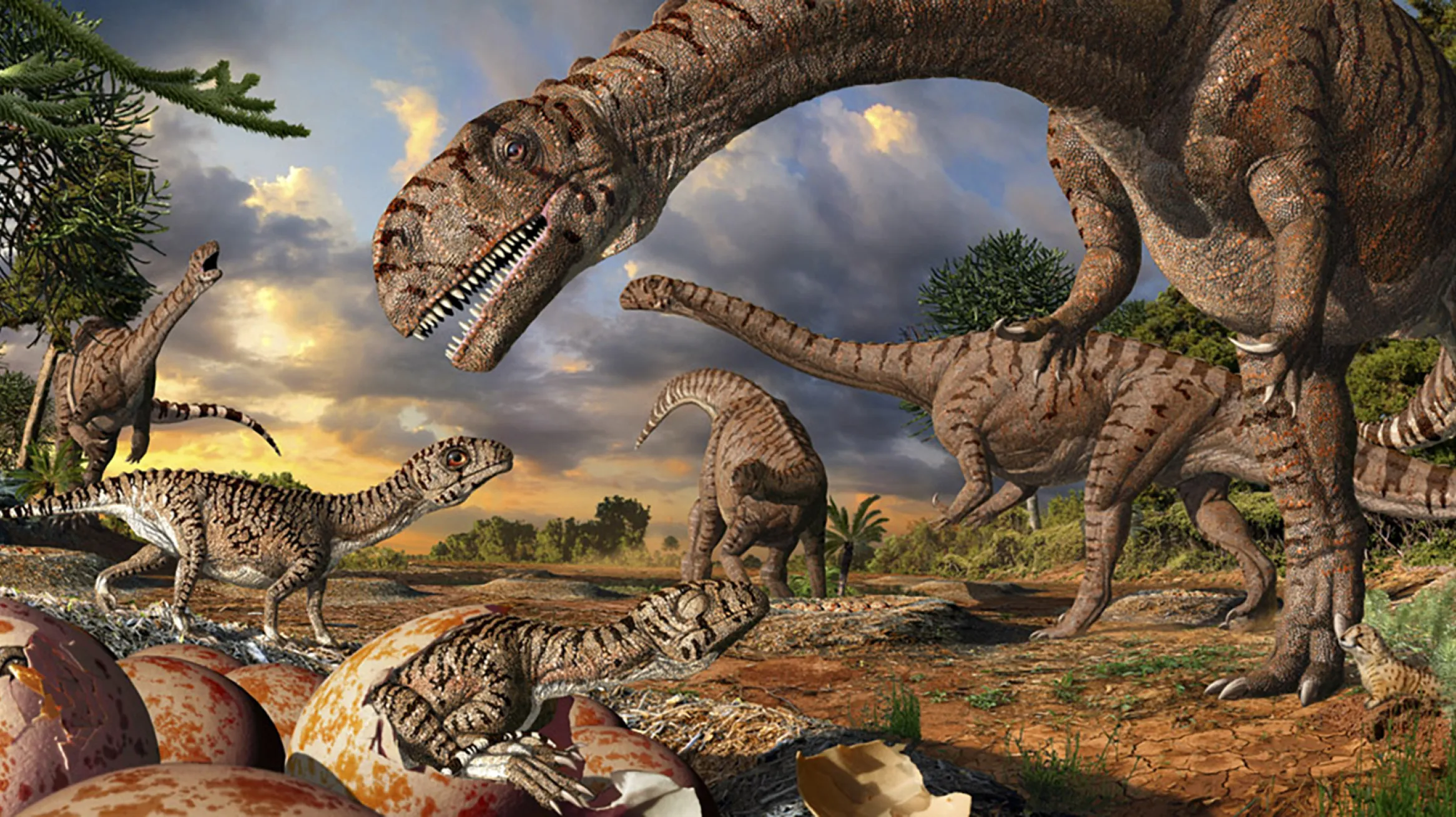 Image ROM : Peinture murale de Massospondylus par Julius Csotonyi.
