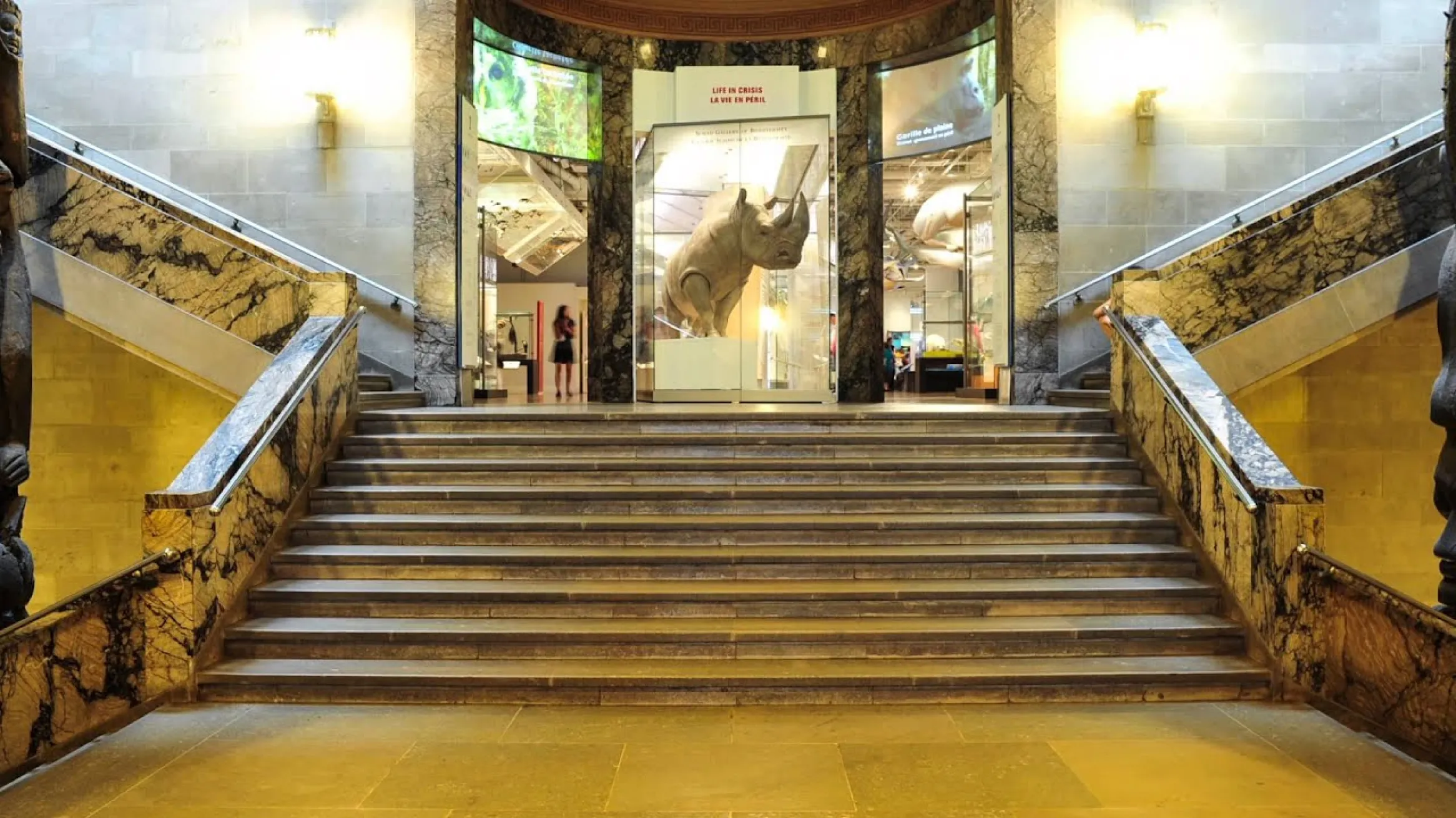 Royal Ontario Museum   Natural History Galleries   Timelapse