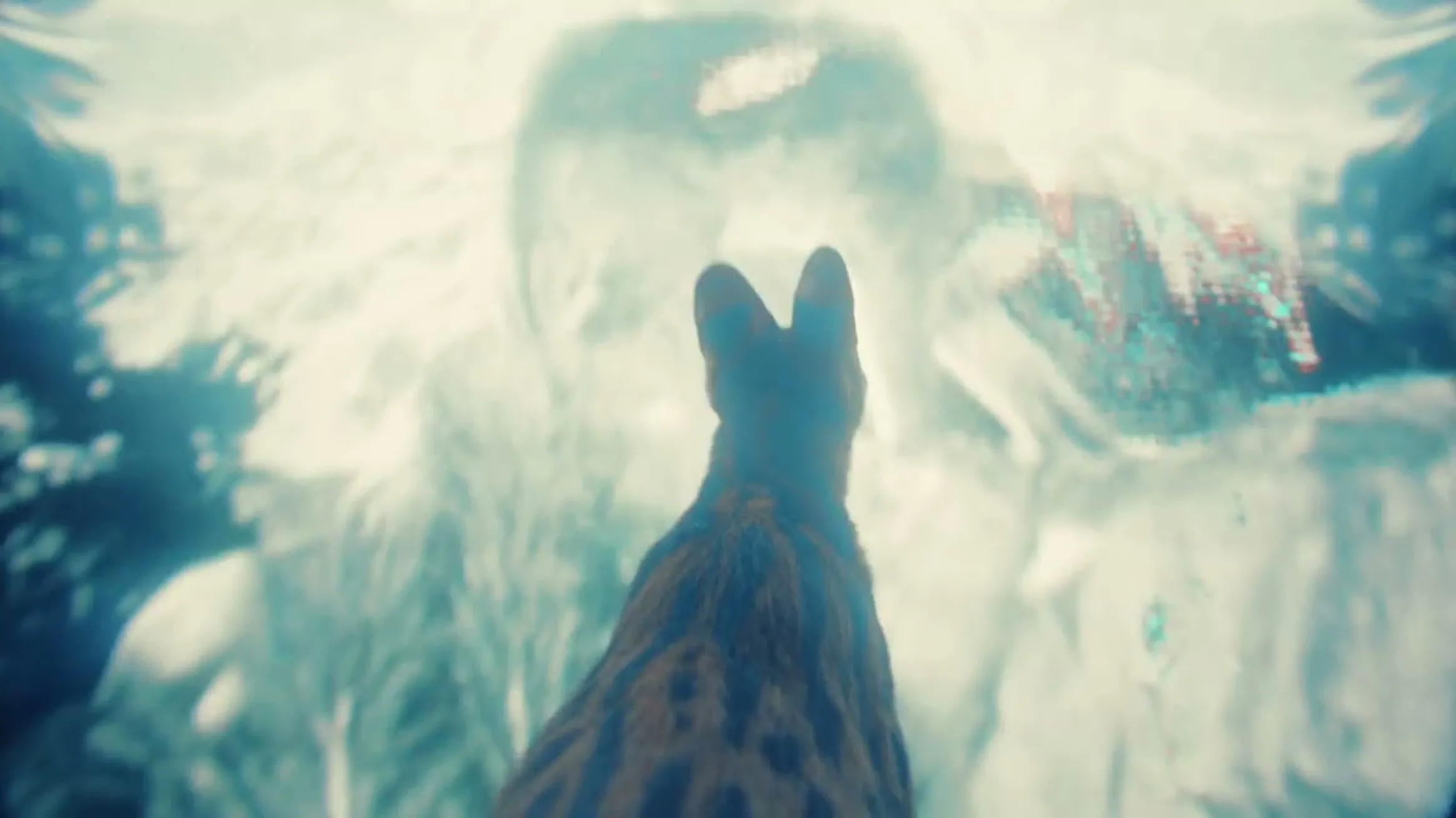 Wild Cats