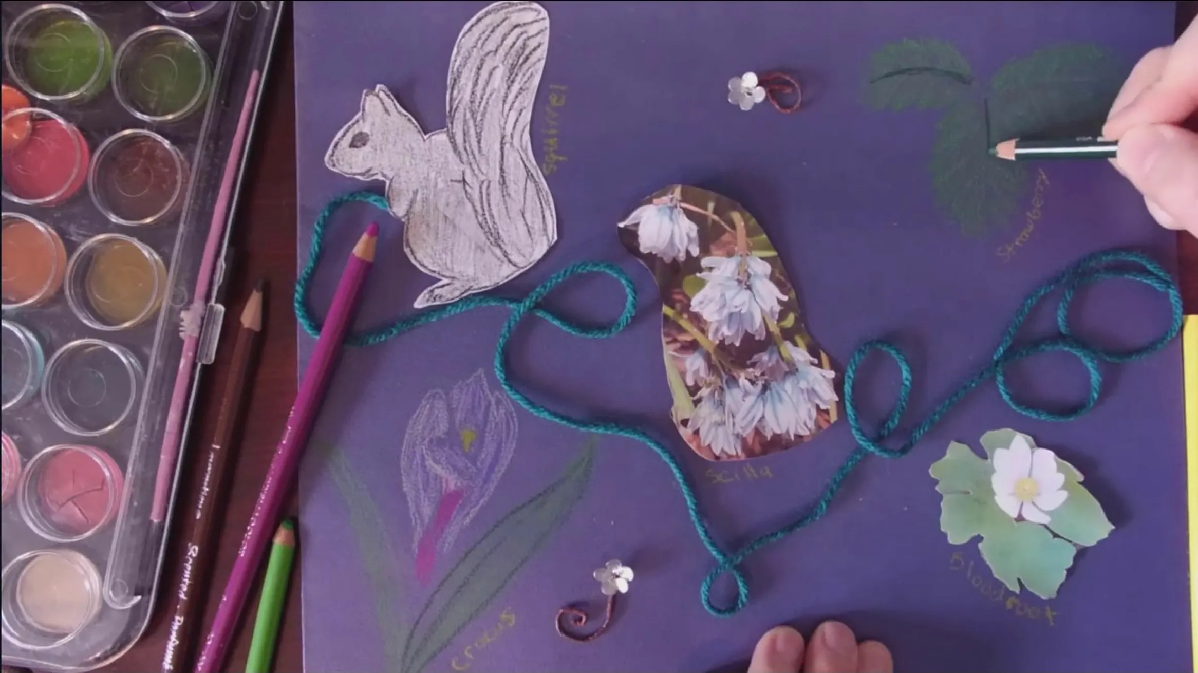 ROM Storytime Creativity Challenge: Blackflies