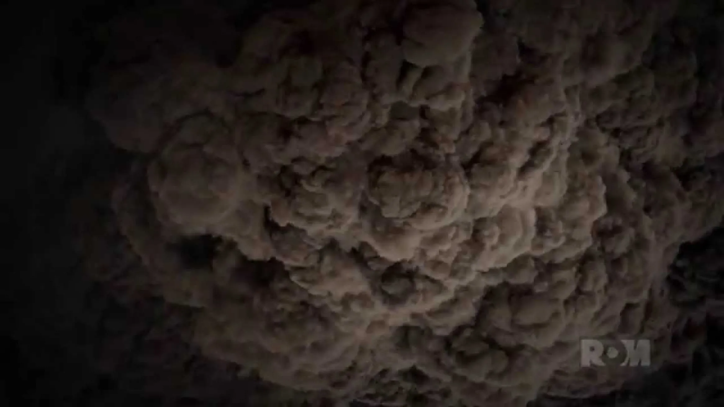 Pompeii: In the Shadow of the Volcano