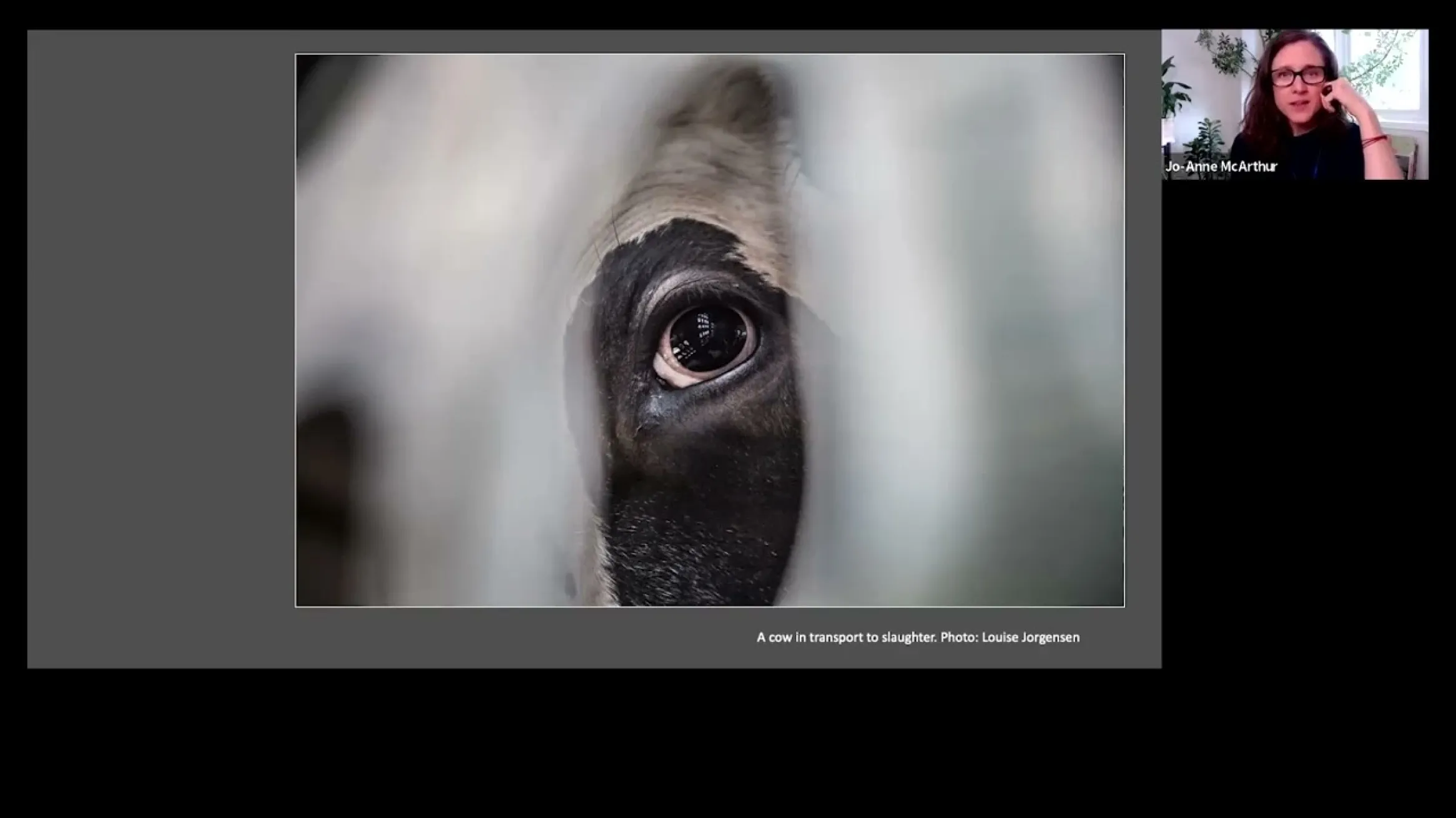 Curator Conversations: Activist Photojournalism in the 21st Century
