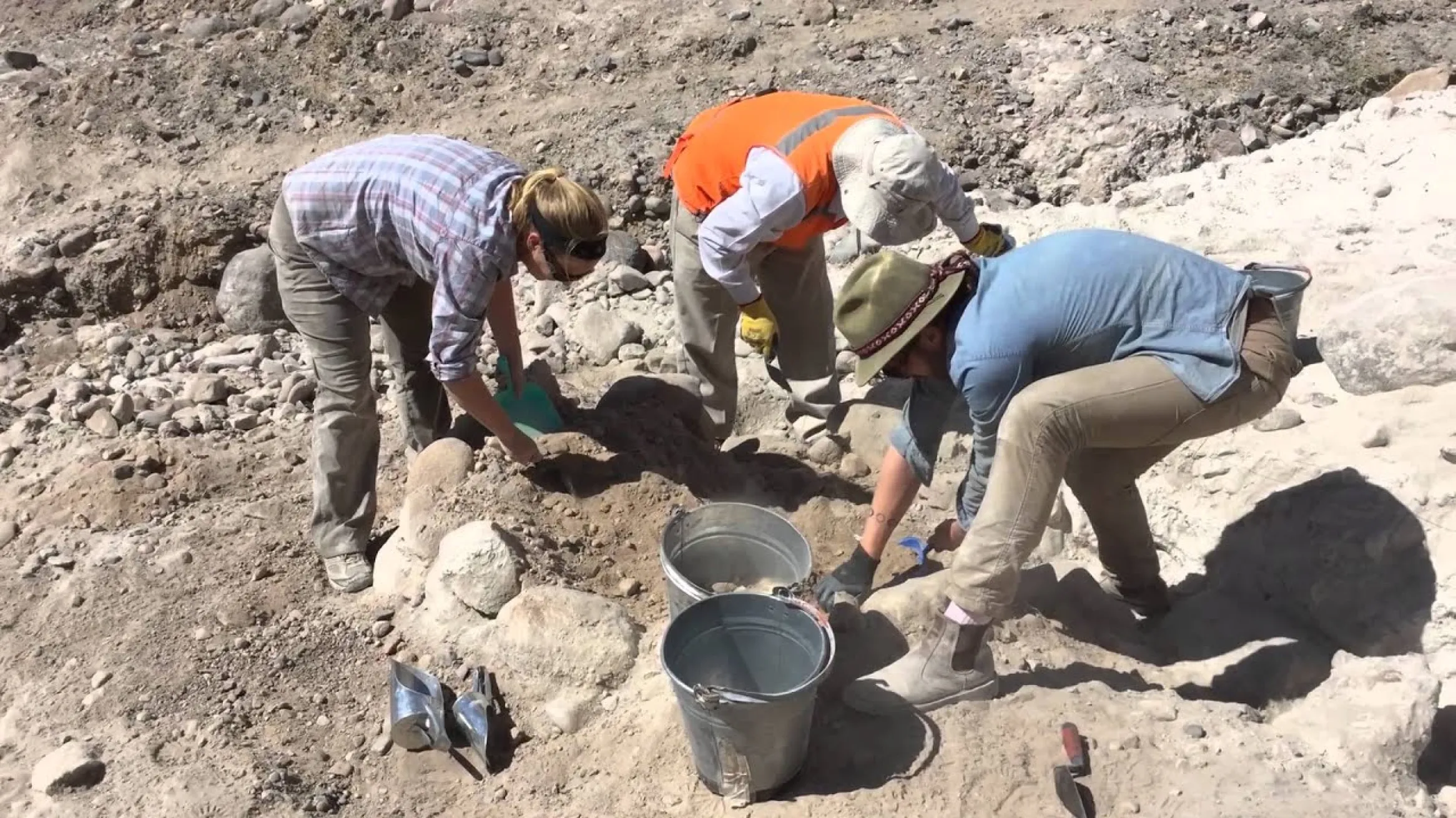 ROM Scientist: Justin Jennings