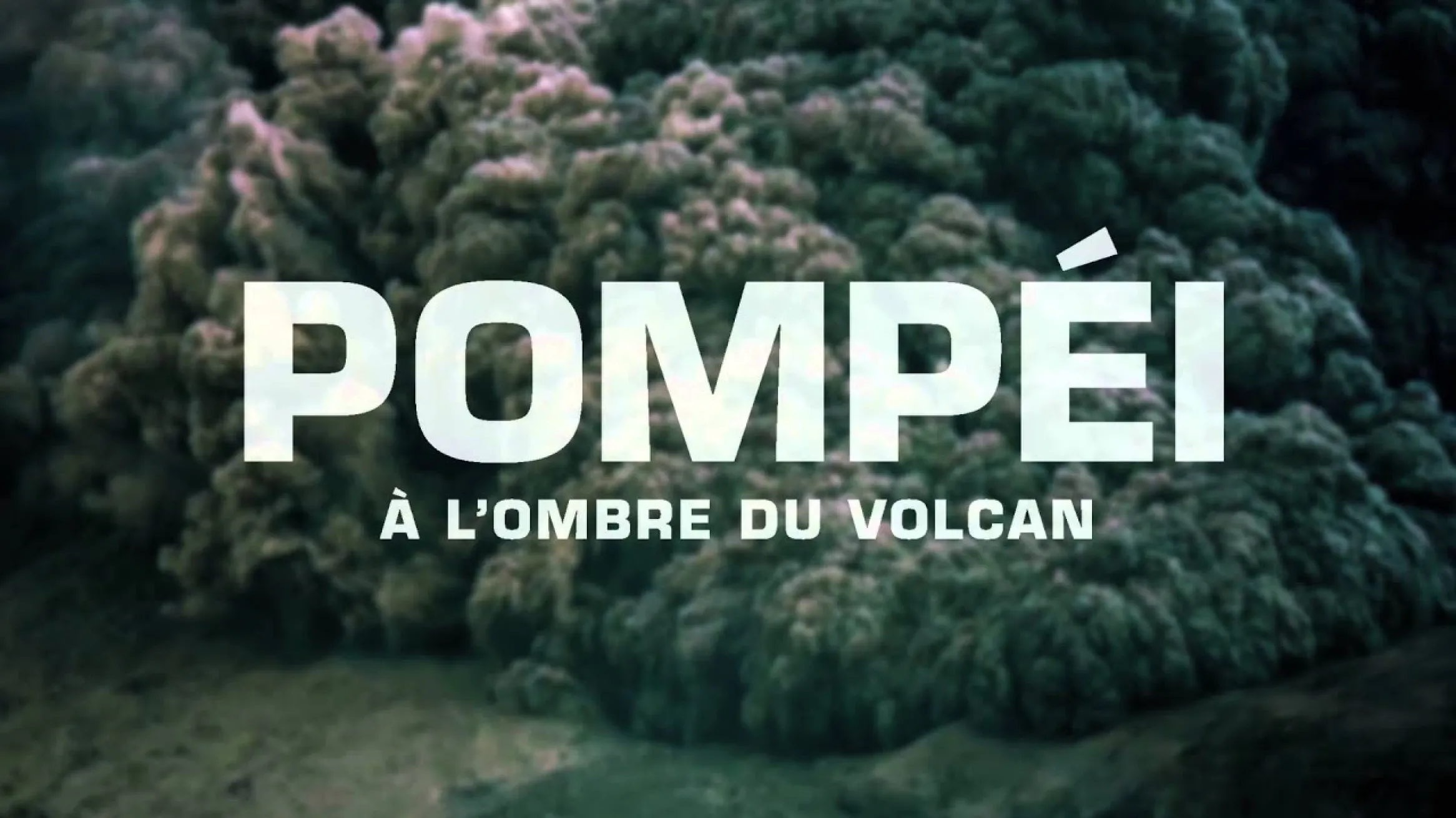 Pompéi à l’affiche en juin 2015