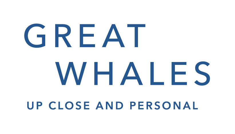Great Whales: Up Close and Personal